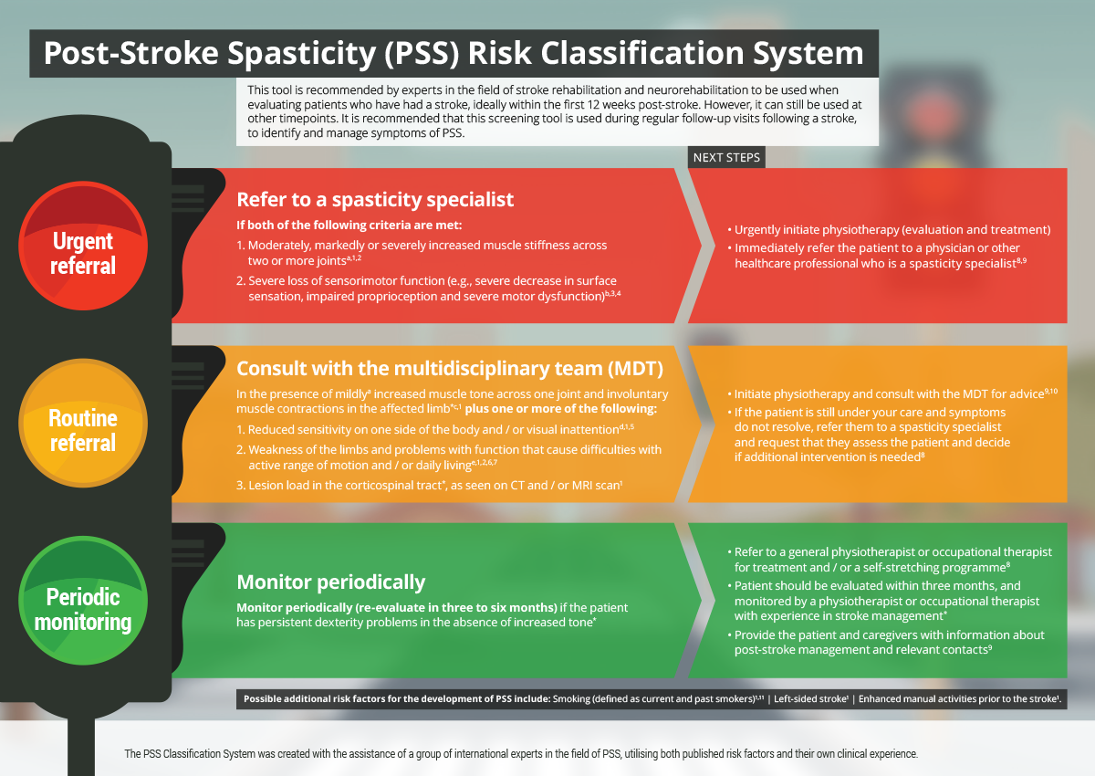 Post-Stroke Spasticity Risk Classification System