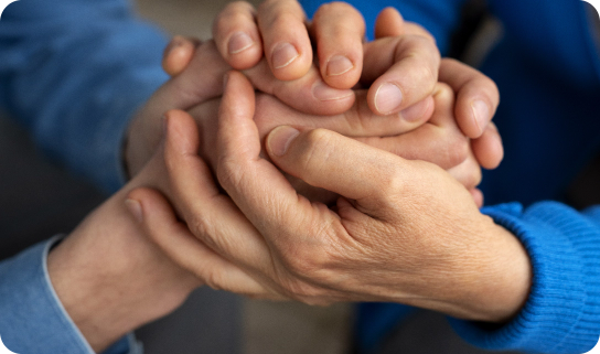 Suporte ao Diagnóstico