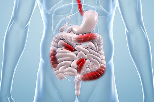 Gastroenterologie Gastroenterologie
