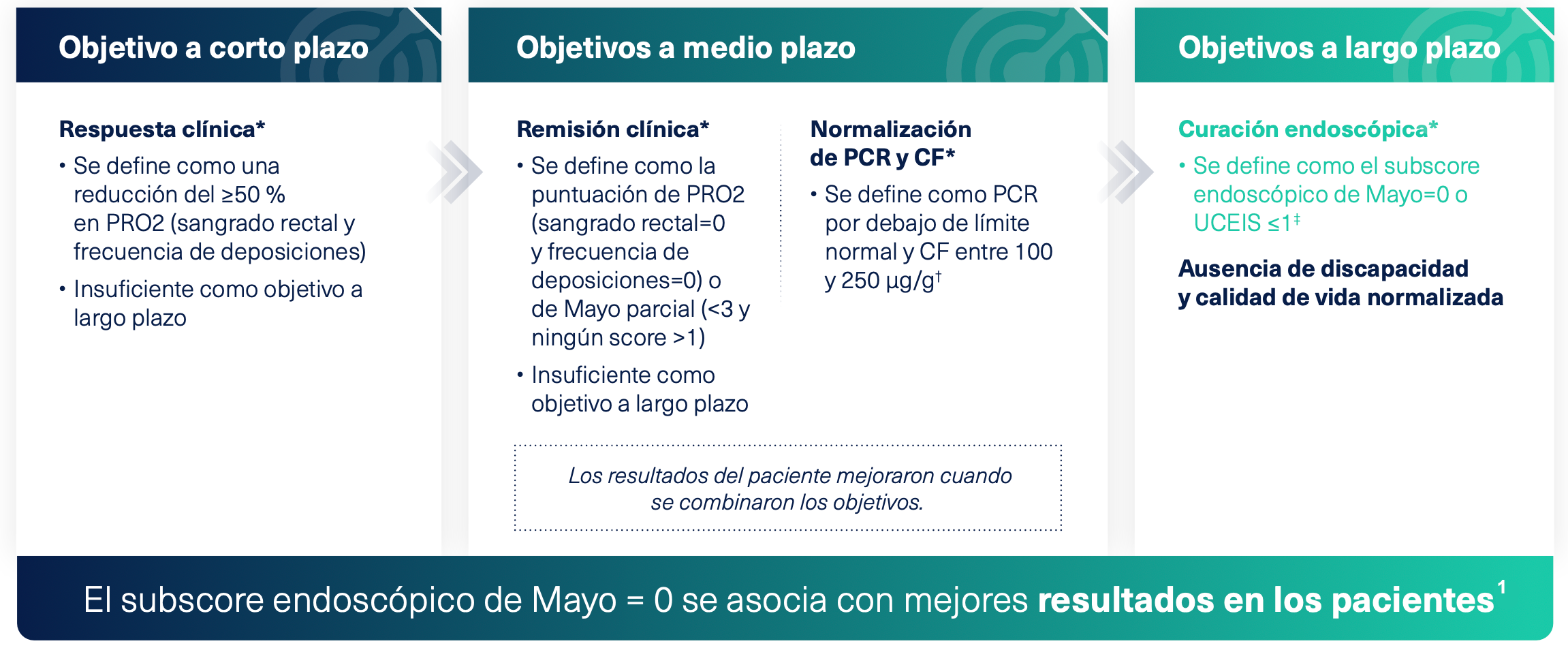 objetivos