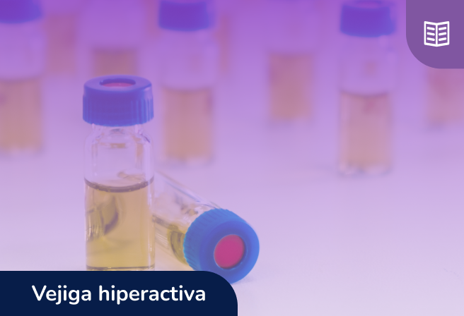 Generalidades del síndrome de Vejiga hiperactiva