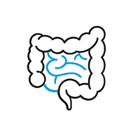 Visual von einem Verdauungstrakt mit blauen Hervorhebungen, die Entzündungen symbolisieren sollen