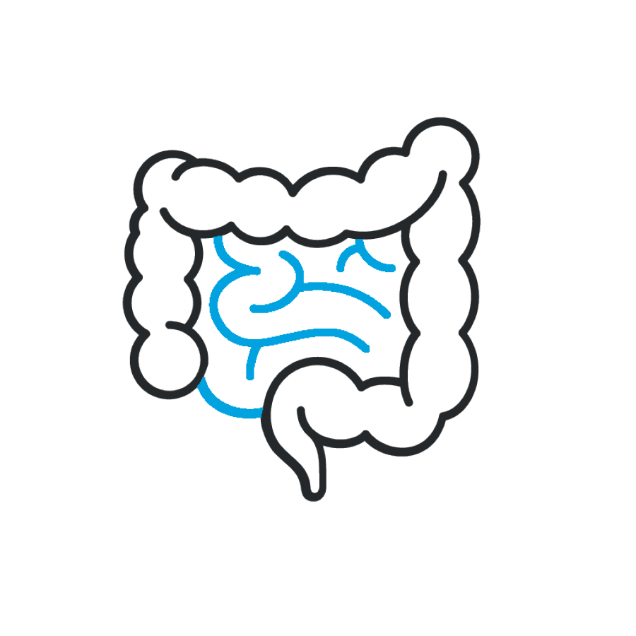 Visual von einem Verdauungstrakt mit blauen Hervorhebungen, die Entzündungen symbolisieren sollen