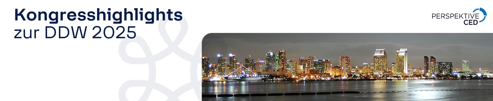 Skyline von San Diego bei Nacht mit Meer im Vordergrund.