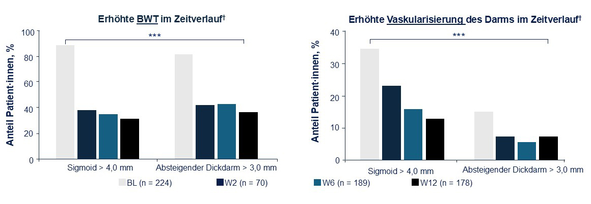 Ultraschalluntersuchungen von CU-Patient·innen: erhöhte BWT und Vaskularisierung des Darms im Therapieverlauf