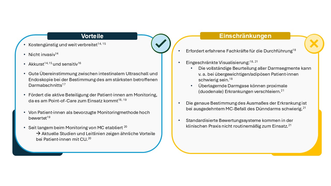 Übersicht über die Vorteile und Einschränkungen des intestinalen Ultraschalls bei CED.