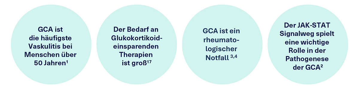 Riesenzellarteriitis ist die häufigste Vaskulitis ab 50 J. RZA ist eine Notfallindikation mit hohem Bedarf an Glukokortikoid-einsparenden Therapien. Riesenzellarteriitis ist die häufigste Vaskulitis ab 50 J. RZA ist eine Notfallindikation mit hohem Bedarf an Glukokortikoid-einsparenden Therapien.