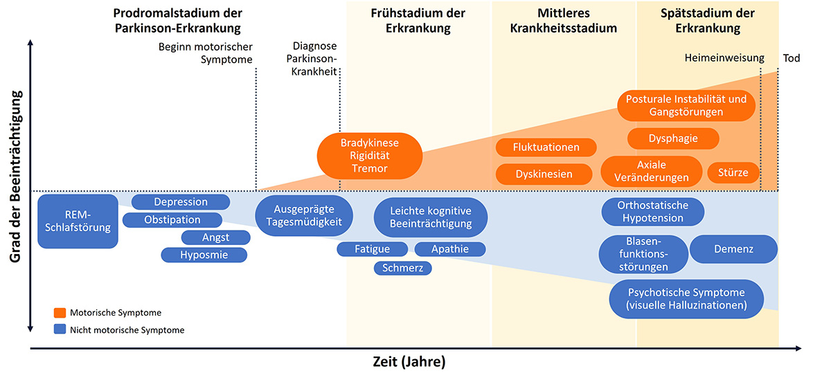 Krankheitsverlauf von Morbus Parkinson unter Berücksichtigung motorischer und nicht-motorischer Symptome