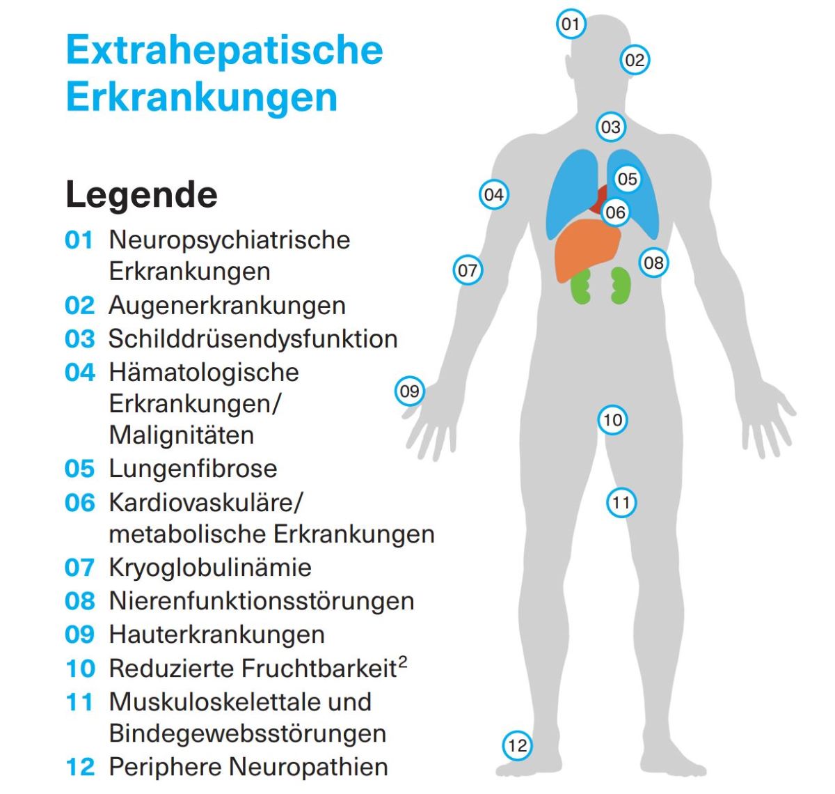 Schaubild Extrahepatische Erkrankungen