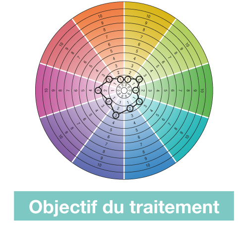 IBD-DISK-FR-GASTRO-DISK-OBJECTIF-TRAITEMENT-ABBVIEPRO