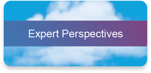 Expert perspectives Expert perspectives