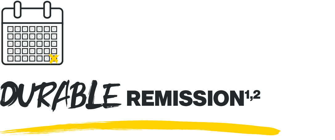 durable-remssion-v1