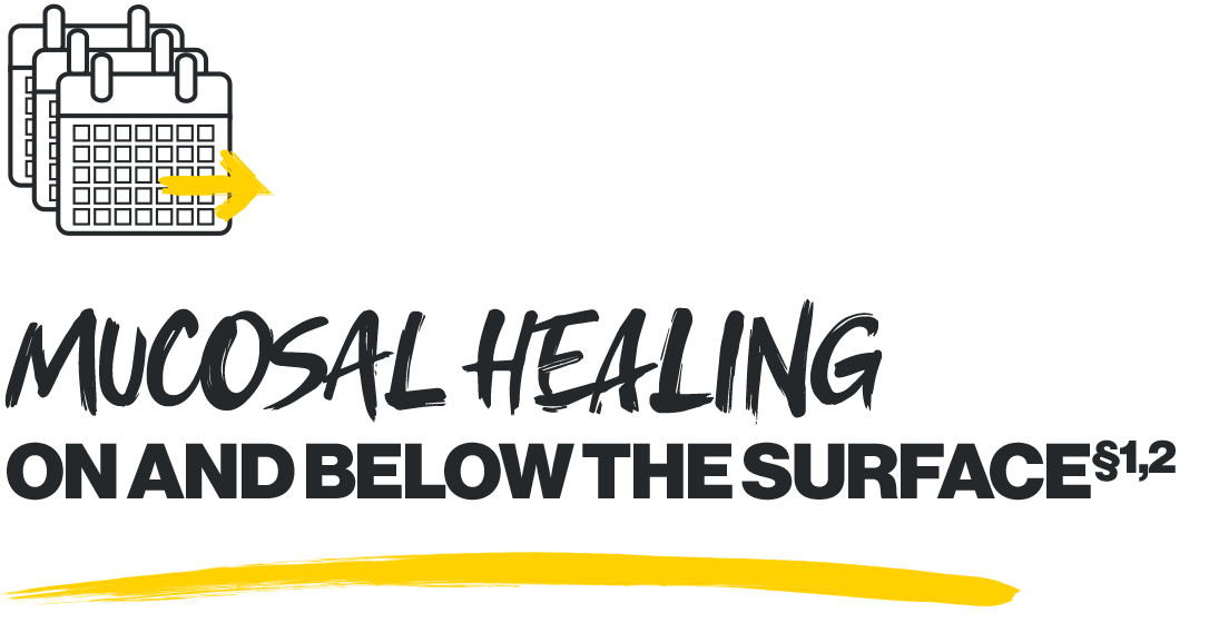 mucosal-healing-v3