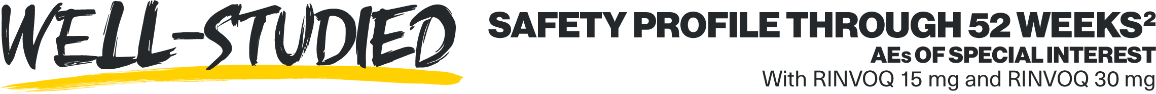 safety-heading5-v2