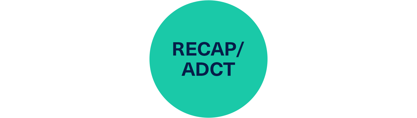 scales-recap-adct-v1