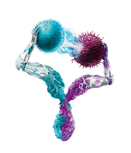 Bispecific-disclaimer