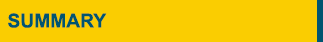 summary summary