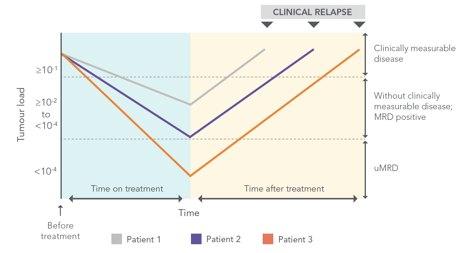 CLL cell burden can change with response to therapy