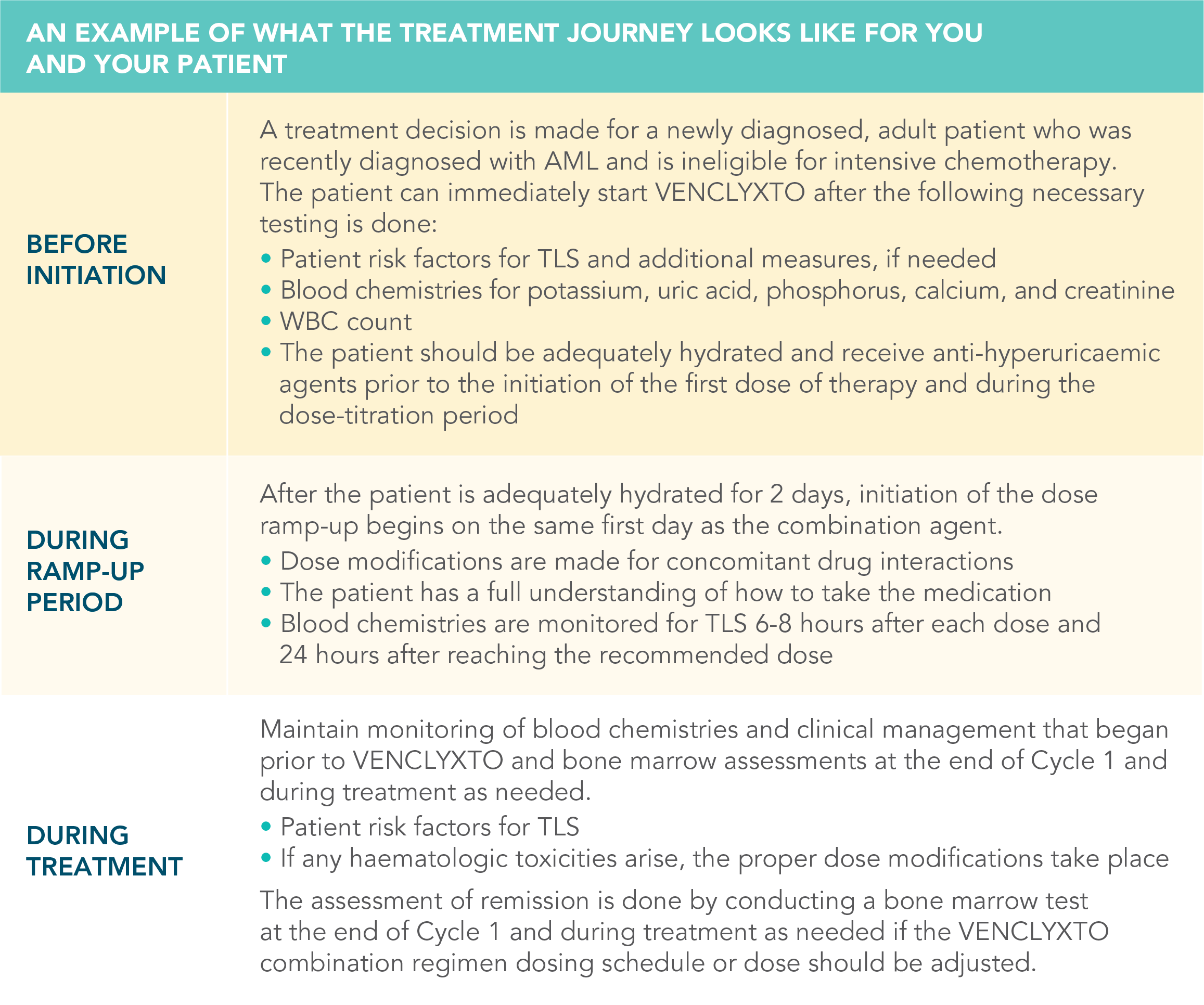 Sample Treatment Plan