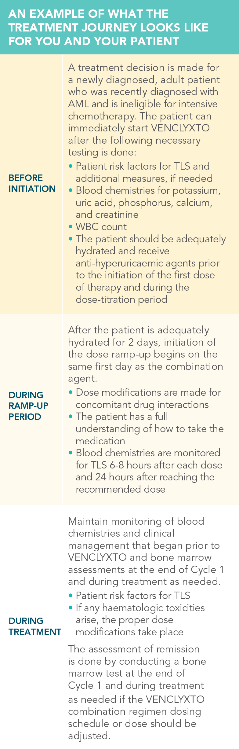 Sample Treatment Plan