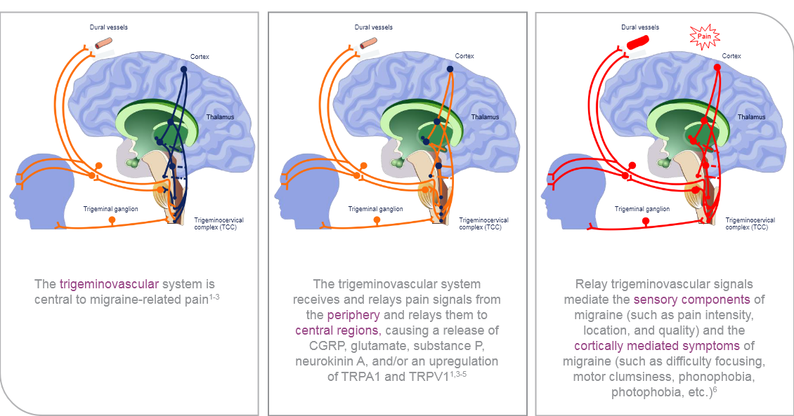disease_overview_FIXED
