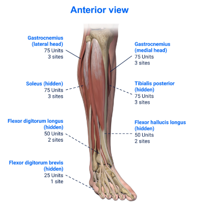 abbvie_pro_neuro_lower_16