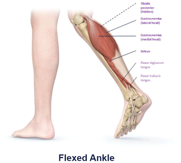 abbvie_pro_neuro_lower_4