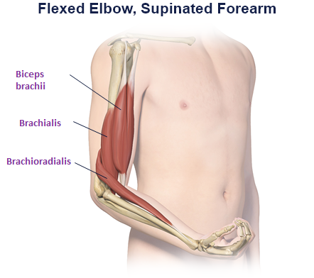 abbvie_pro_neuro_upper_2