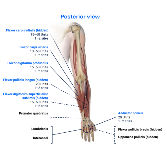 abbvie_pro_neuro_upper_16