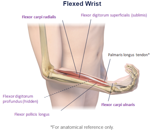 abbvie_pro_neuro_upper_20
