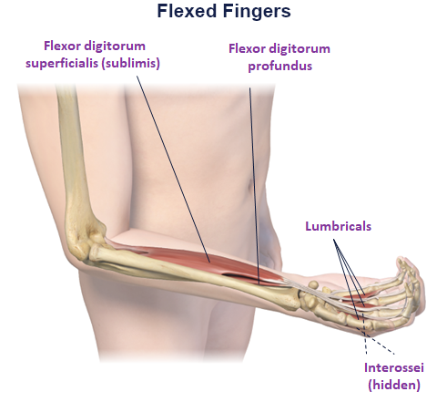 abbvie_pro_neuro_upper_4