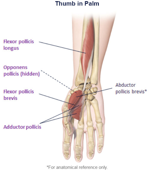 abbvie_pro_neuro_upper_22
