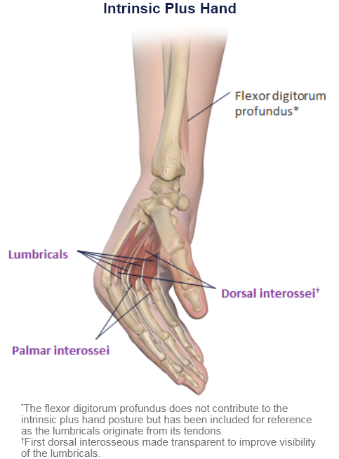 abbvie_pro_neuro_upper_21