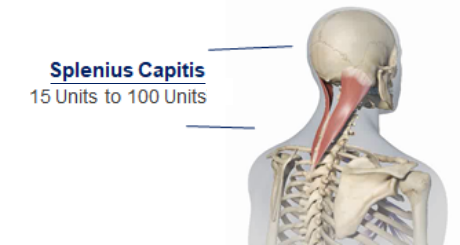 abbvie_pro_neuro_dys_1