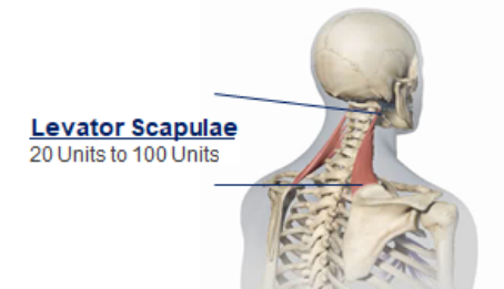 abbvie_pro_neuro_dys_2