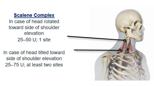 abbvie_pro_neuro_dys_13