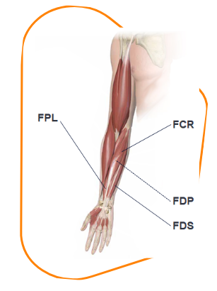 abbvie_pro_neuro_data_15