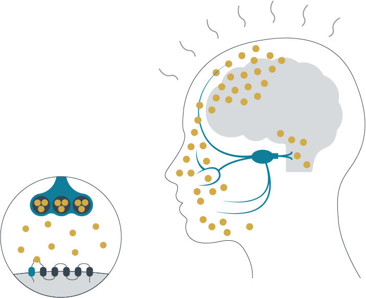 CGRP_LEVELS_DURING_A_MIGRAINE_ATTACK