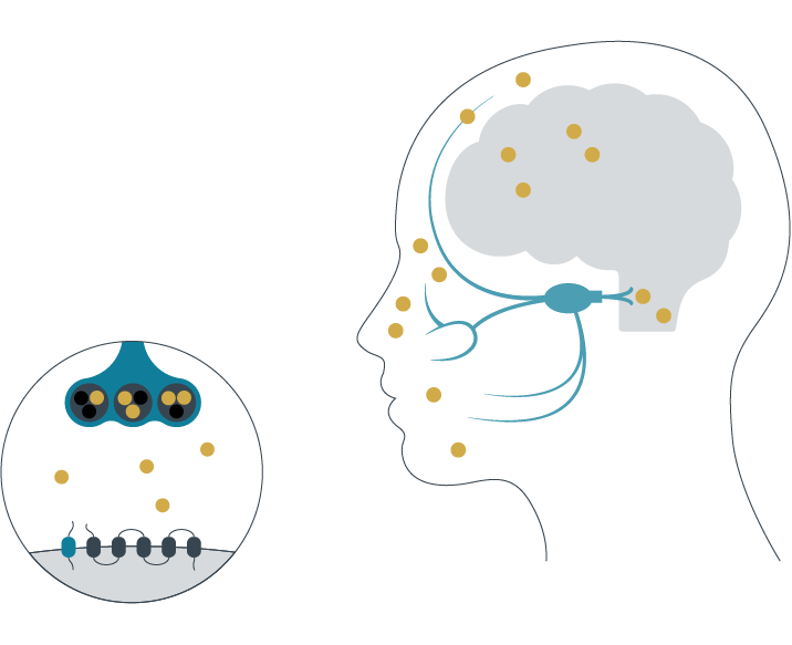 CGRP_LEVELS_BETWEEN_MIGRAINE_ATTACKS