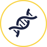 icona DNA