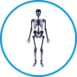icona disregolazione immunitaria