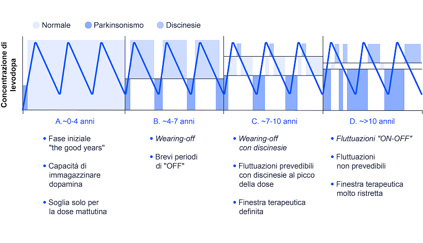 Restringimento della finestra terapeutica di levodopa per via orale nel corso del tempo. 