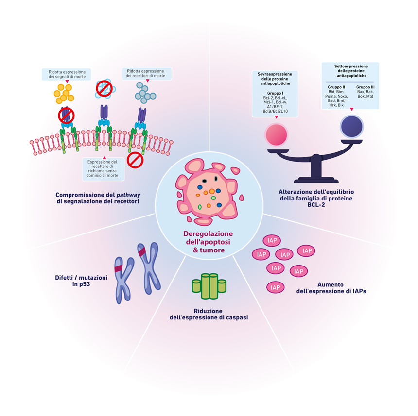 Figura 8. Meccanismi che contribuiscono all’evasione dell’apoptosi e alla carcinogenesi. Tratto da Fig. 2, ref. 8.