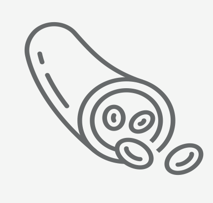 icona vaso sanguigno