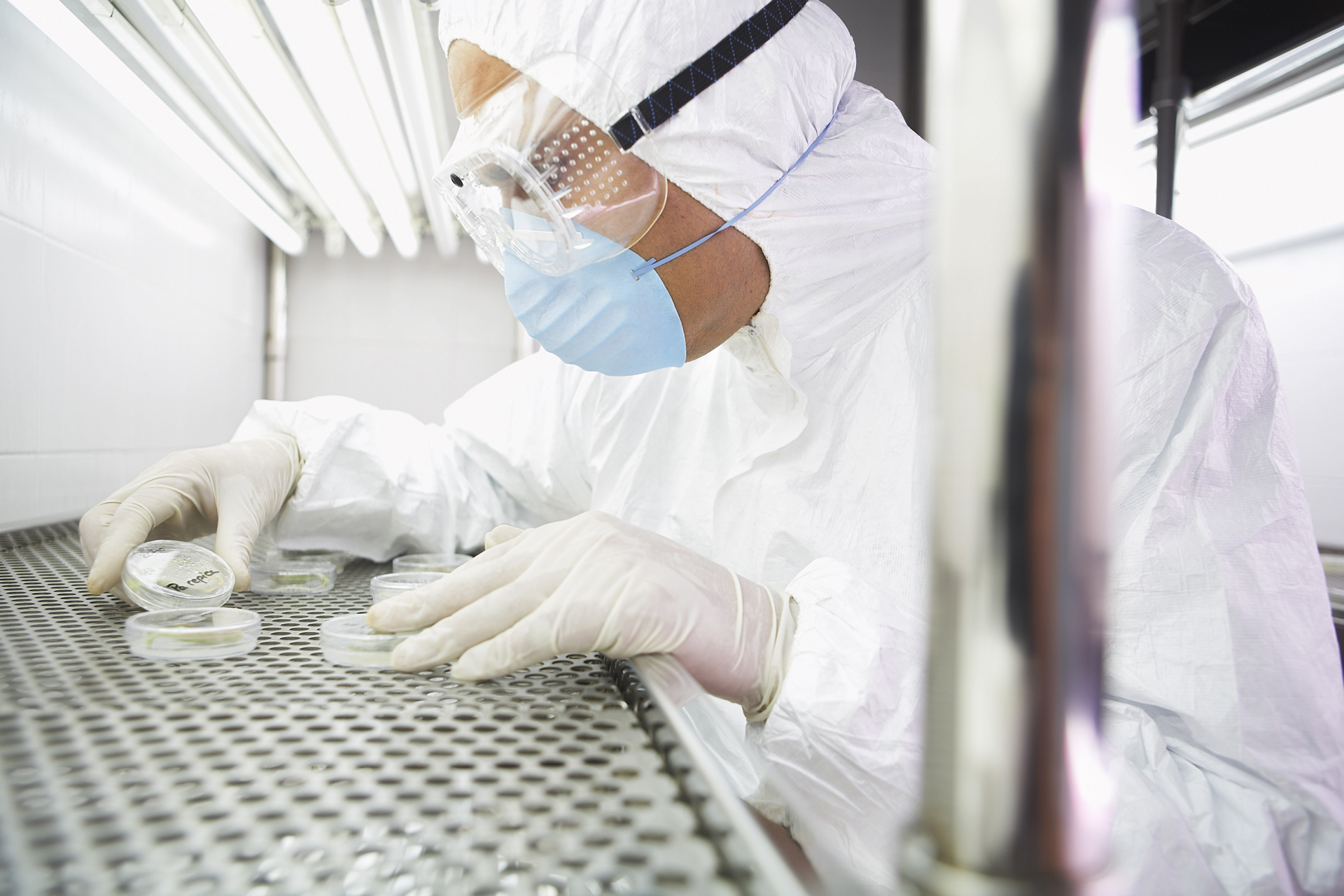 Ricercatore in virologia