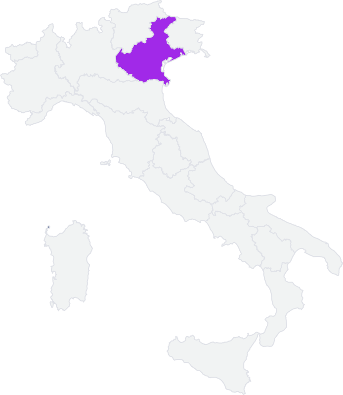 cartina regione veneto