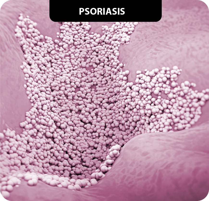 dermatologia_2