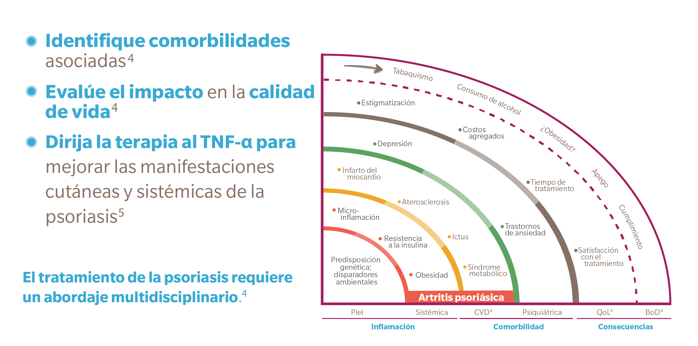 Hs en la adolescencia