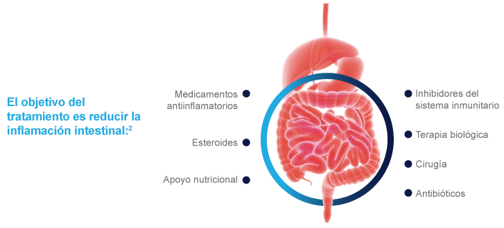 Comorbilidades