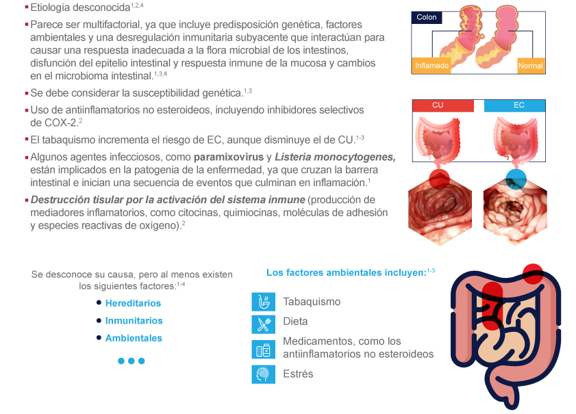 Comorbilidades